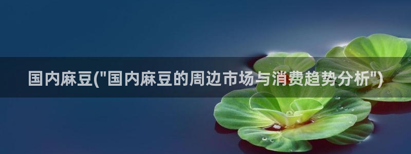 麻豆专区一区二区三区：国内麻豆(\