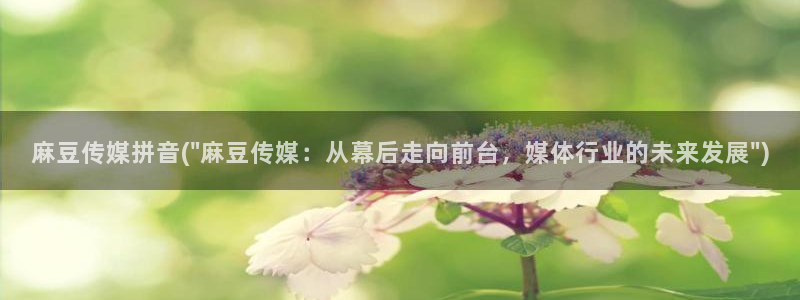 麻豆专区一区二区三区