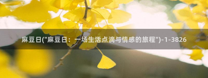 麻豆区：麻豆日(\