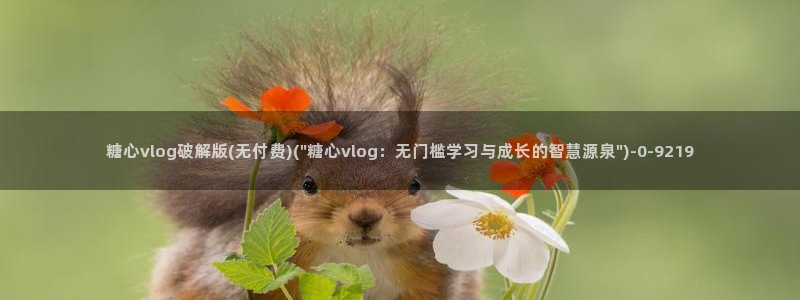 芋圆糖心vlog视频在线观看