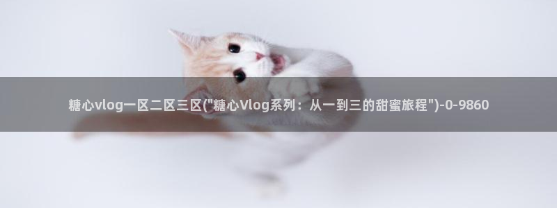 糖心vloge