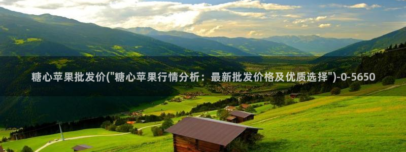 糖心vlog下载入口