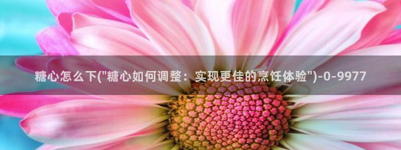 糖心vlog博主