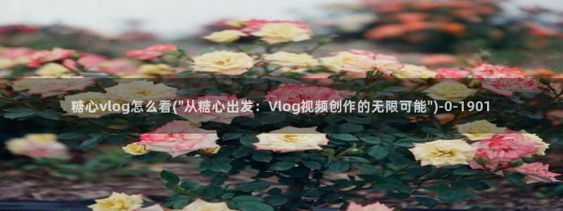 vlog糖心在线观看