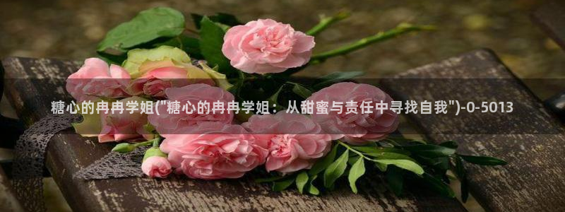 糖心vlog进入