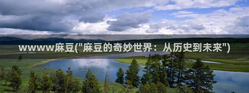 麻豆亚洲无矿砖码专区：wwww麻豆(\