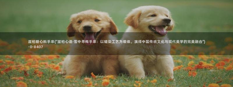糖心vlog 官网