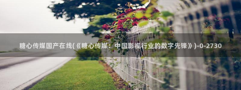 糖的vlog日常