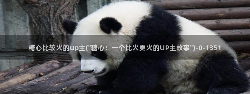 心糖vlog记录